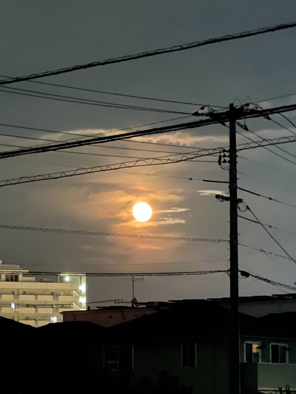 予約方法が変更になりました★サロンは営業しております。