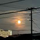 予約方法が変更になりました★サロンは営業しております。